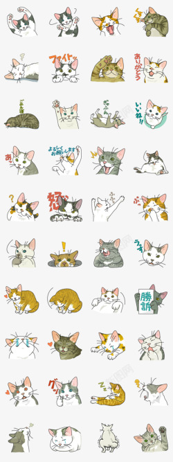 sachiko satowoNO CAT NO LIFE Satowo cat stamp色計素材