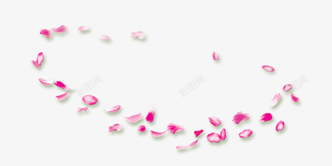 玫瑰花瓣落叶花朵漂浮透明png免抠素材_新图网 https://ixintu.com 玫瑰 玫瑰花 花瓣 落叶 花朵 漂浮 透明