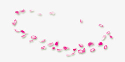 玫瑰花瓣落叶花朵漂浮透明素材