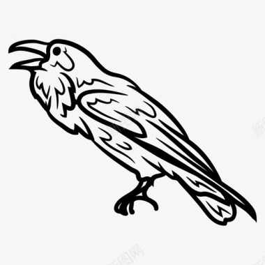 乌鸦动物鸟图标