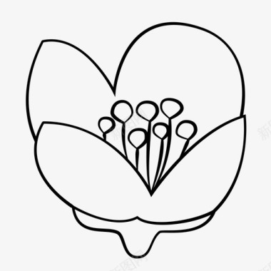 茉莉花花卉自然图标