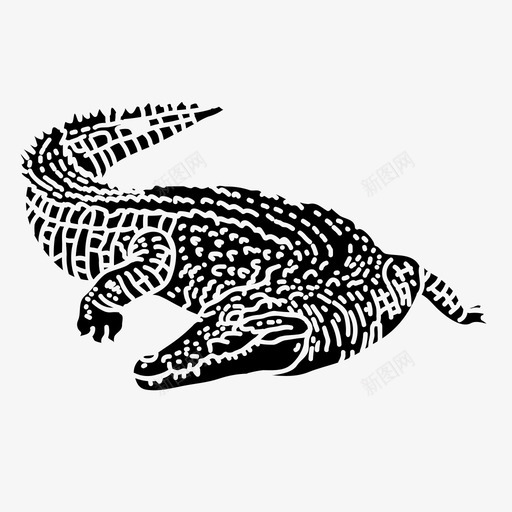 尼罗河鳄动物凯门鳄svg_新图网 https://ixintu.com 尼罗河 爬行动物 动物 凯门
