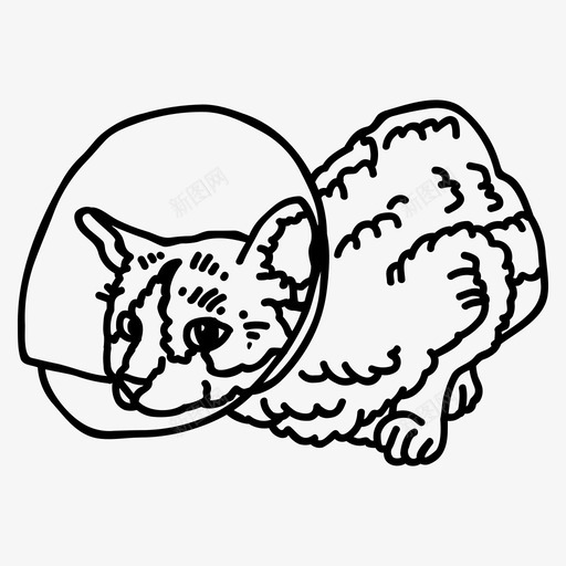 治疗动物猫svg_新图网 https://ixintu.com 动物 医院 治疗 宠物