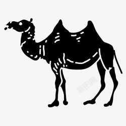 沙漠动物骆驼动物沙漠高清图片