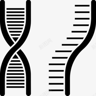 dna遗传学基因组学图标