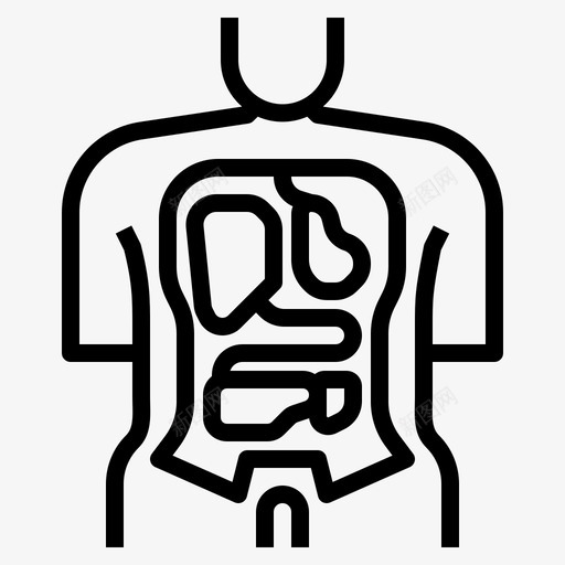 解剖学人体医学svg_新图网 https://ixintu.com 解剖学 人体 医学 医学教育 教育学