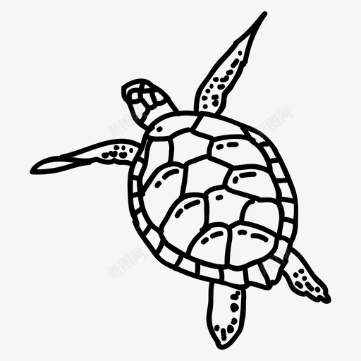 海龟水生动物生鳖svg_新图网 https://ixintu.com 海龟 水生 动物 生鳖海