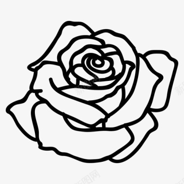 玫瑰盛开开花图标