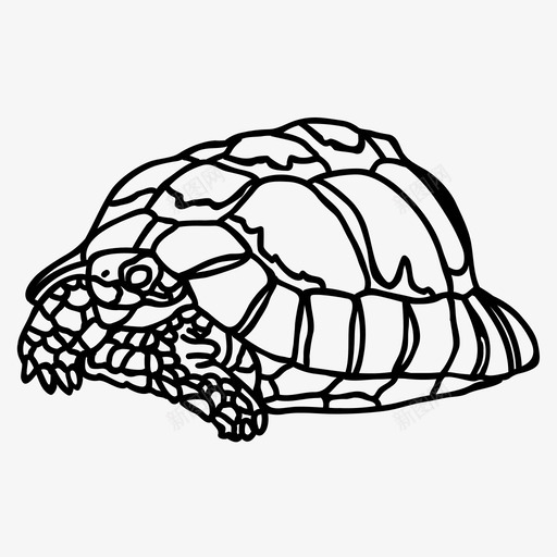 埃及龟动物爬行动物svg_新图网 https://ixintu.com 埃及 爬行动物 动物