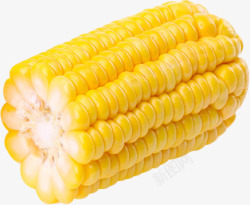 玉米食材素材