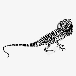 冠龙冠龙动物鬣蜥高清图片
