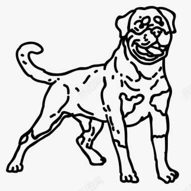 罗特韦尔犬动物狗图标