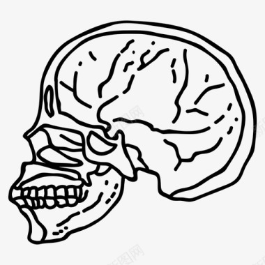 人类头骨解剖学万圣节图标