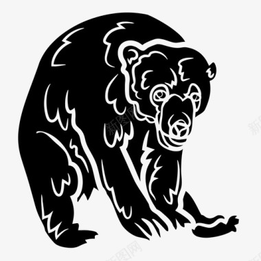太阳熊动物黑熊图标