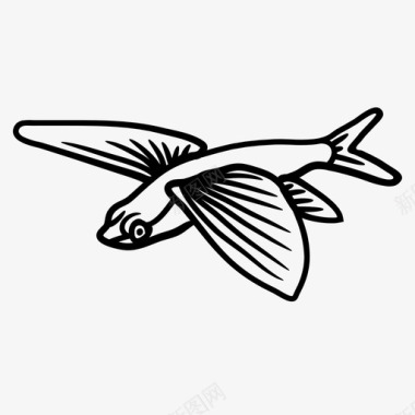 飞鱼动物水生动物图标