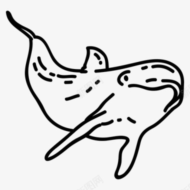 海豚水生动物海洋图标