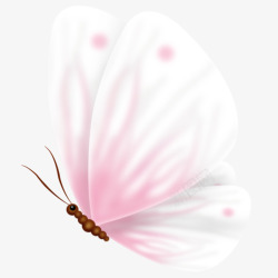 水彩蝶恋花粉色鲜艳花朵蝴蝶png元素高清图片