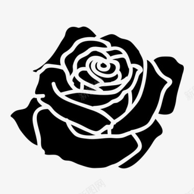 玫瑰盛开花朵图标