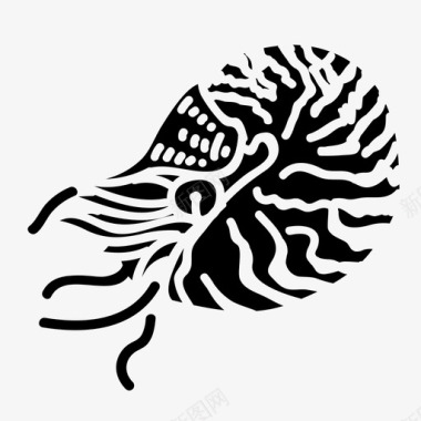 鹦鹉螺水生动物海洋图标