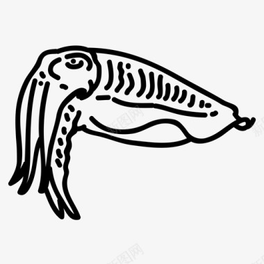 鱿鱼水生动物海洋图标