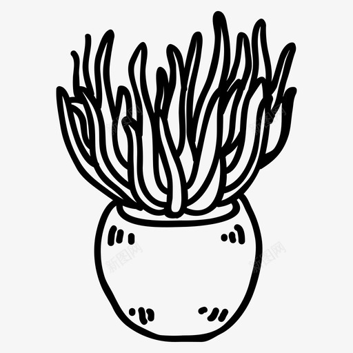 多汁的花园的室内植物的svg_新图网 https://ixintu.com 多汁 花园 室内 植物