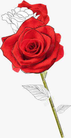 植物 花朵 鲜花 绿叶 花环 水彩 手绘 彩铅 小清新 插画 玫瑰 红花3PNG素材植物鲜花素材