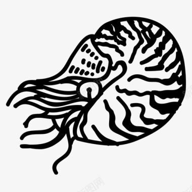 鹦鹉螺水生动物海洋图标