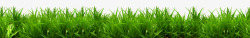 草丛装饰绿叶花朵树木类素材