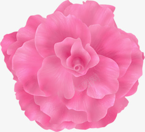粉色花朵鲜花元素png免抠素材_新图网 https://ixintu.com 漂浮 粉色 花朵 开放 鲜花 精美 装饰花朵