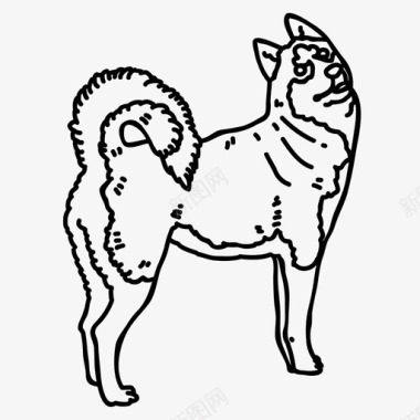 西伯利亚哈士奇动物狗图标