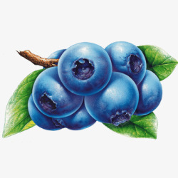 蓝莓齐盟家具免扣素材