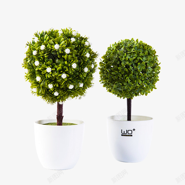 北欧盆栽透明植物抠图Ppng免抠素材_新图网 https://ixintu.com 北欧 盆栽 透明 植物 抠图