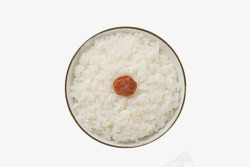 米饭02生鲜水果蔬菜素材