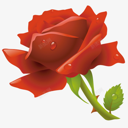 红色的玫瑰花图标iconcomH花卉植物png免抠素材_新图网 https://ixintu.com 红色 玫瑰花 图标 花卉 植物