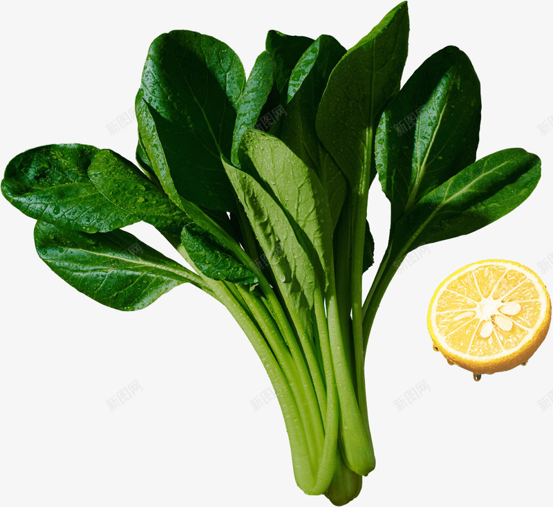 GREENS低温生鲜饮料生鲜饮料GREENS鲜度感新野菜今野菜味毎日鲜Z植物水果png免抠素材_新图网 https://ixintu.com 生鲜 饮料 野菜 低温 鲜度 感新 味毎日 植物 水果