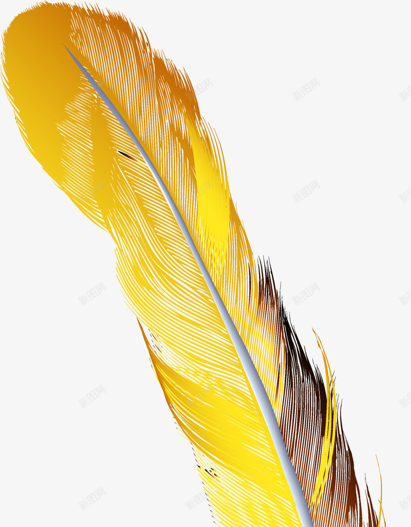 羽毛唯美手绘插画半成品png免抠素材_新图网 https://ixintu.com 羽毛 唯美 手绘 插画 半成品