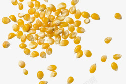 玉米玉米粒L辅助素材