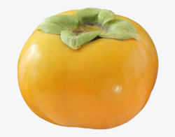 柿子S水果素材