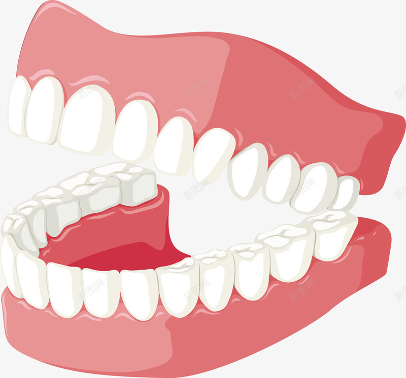 222牙齿png免抠素材_新图网 https://ixintu.com 牙齿