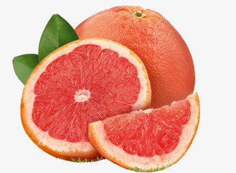 Grapefruit水果amp坚果大全png免抠素材_新图网 https://ixintu.com 水果 坚果 大全