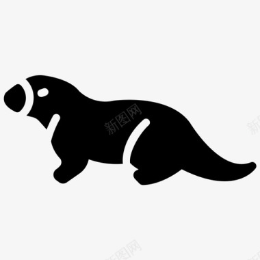 水獭海狮海豹图标