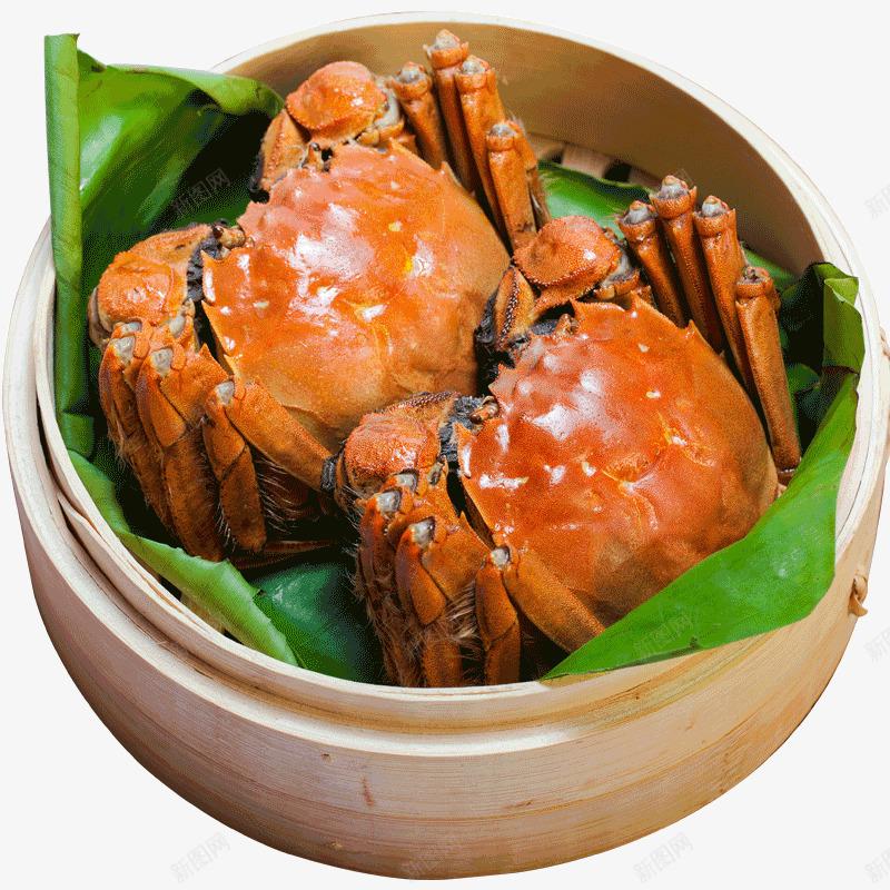 TB2gjdwXNiEJuJjSsziXXcpZFXa699783944800800美食美图白底png免抠素材_新图网 https://ixintu.com 美食 美图 白底
