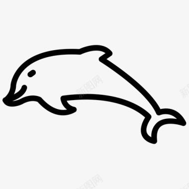 海豚鳍状肢海洋生物图标