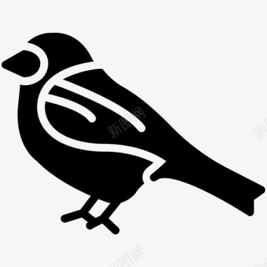 麻雀乌鸦鸽子图标