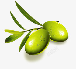 橄榄美食美图白底素材