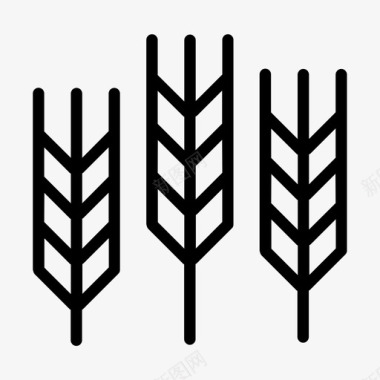 小麦纤维谷物图标