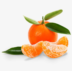 Mandarin水果amp坚果大全素材