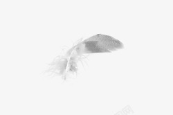 白色假发透明免扣羽毛白色羽毛珍珠贝壳假发翅膀高清图片