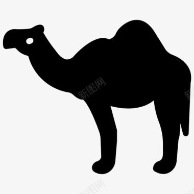 骆驼沙漠动物单峰骆驼图标