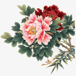 花纹标志素材